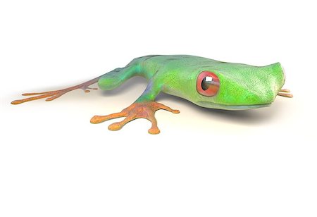simsearch:400-07621766,k - red eyed tree frog from tropical rainforest of Costa Rica isolated on white. Beautiful green and blue treefrog is an exotic animal from the rain forest. 3d render Stockbilder - Microstock & Abonnement, Bildnummer: 400-08819376