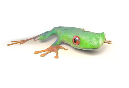 simsearch:400-07621766,k - red eyed tree frog from tropical rainforest of Costa Rica isolated on white. Beautiful green and blue treefrog is an exotic animal from the rain forest. 3d render Stockbilder - Microstock & Abonnement, Bildnummer: 400-08819378