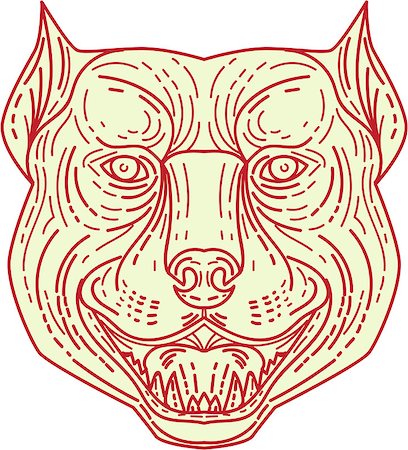 simsearch:400-08627495,k - Mono line style illustration of an angry pitbull dog mongrel head facing front set on isolated white background. Stock Photo - Budget Royalty-Free & Subscription, Code: 400-08819923