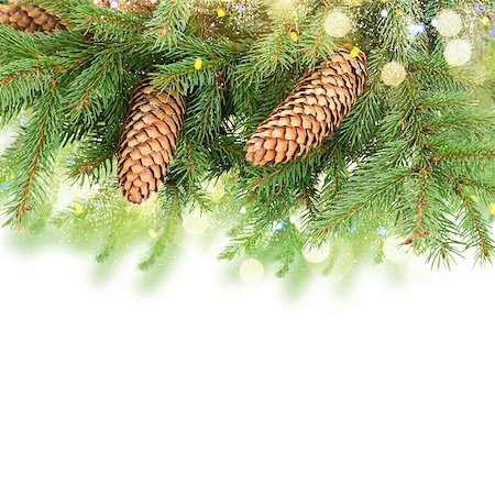 simsearch:400-06391837,k - Fresh pine branch with cones and bokeh llights border on white background Stock Photo - Budget Royalty-Free & Subscription, Code: 400-08811413