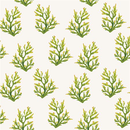 simsearch:400-09029281,k - Vector sea wallpaper - seamless pattern with green corals on a white background. Stockbilder - Microstock & Abonnement, Bildnummer: 400-08812502