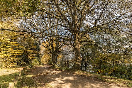 Shady path in autumn near of Erdre river (Nantes, Loire Atlantique) Fotografie stock - Microstock e Abbonamento, Codice: 400-08812532