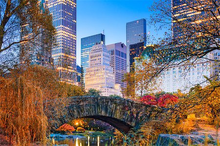 Central Park during autumn in New york City. Stock Photo - Budget Royalty-Free & Subscription, Code: 400-08813470