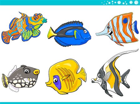 Cartoon Illustration of Tropical Fish Sea Life Animal Characters Set Photographie de stock - Aubaine LD & Abonnement, Code: 400-08834848