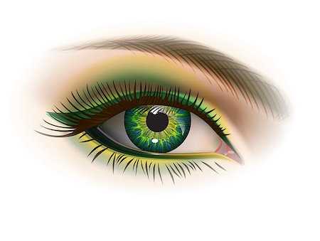 pavelmir (artist) - Green female eye and makeup. Realistic vector image Stockbilder - Microstock & Abonnement, Bildnummer: 400-08835973