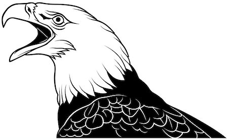 drawing eagle clipart - Bald Eagle Head - Black Outline Illustration, Vector Stock Photo - Budget Royalty-Free & Subscription, Code: 400-08836392