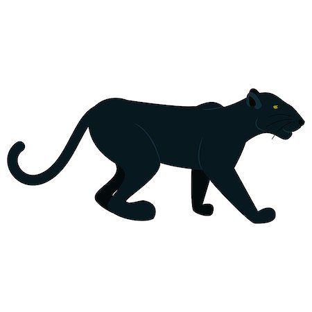 felis concolor - Black panther wild animal isolated on white. Jungle cat vector illustration. Stock Photo - Budget Royalty-Free & Subscription, Code: 400-08837187