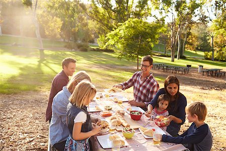simsearch:400-08839704,k - Two families having a picnic together at a table in a park Foto de stock - Super Valor sin royalties y Suscripción, Código: 400-08839699