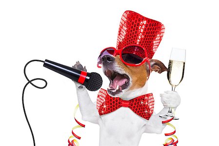 simsearch:400-07822392,k - jack russell dog celebrating new years eve with champagne  glass and singing out loud, with a  microphone , isolated on white background Foto de stock - Super Valor sin royalties y Suscripción, Código: 400-08831916