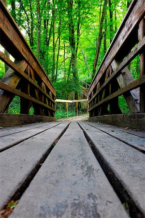 Wooden bridge through the forest Foto de stock - Super Valor sin royalties y Suscripción, Código: 400-08832240