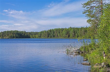 simsearch:400-07676808,k - Lake on a sunny summer day. Karelia, Russia. Foto de stock - Super Valor sin royalties y Suscripción, Código: 400-08864039