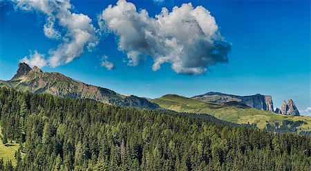simsearch:400-09237738,k - Landscape of the mountains Denti di Terra Rossa and Alpe di Siusi in summer season with the forest in foreground, Dolomites Foto de stock - Royalty-Free Super Valor e Assinatura, Número: 400-08864403