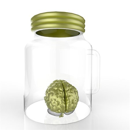 Human brain in a glass jar Photographie de stock - Aubaine LD & Abonnement, Code: 400-08864451