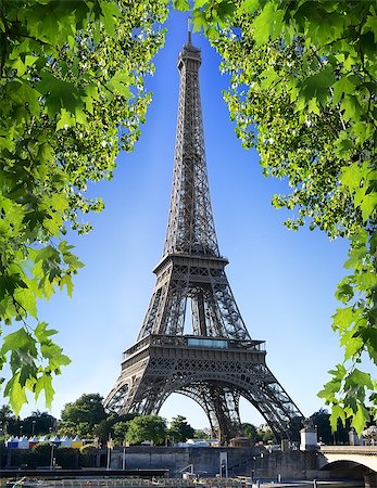 simsearch:400-08014075,k - Eiffel Tower and maple tree in Paris, France Stock Photo - Budget Royalty-Free & Subscription, Code: 400-08864916