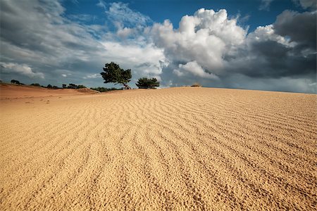 simsearch:400-07046539,k - sand wave texture on dune and beautiful sky, Netherlands Stock Photo - Budget Royalty-Free & Subscription, Code: 400-08861461