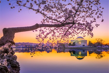 simsearch:400-08557015,k - Washington, DC at the Jefferson Memorial during spring. Foto de stock - Royalty-Free Super Valor e Assinatura, Número: 400-08861637