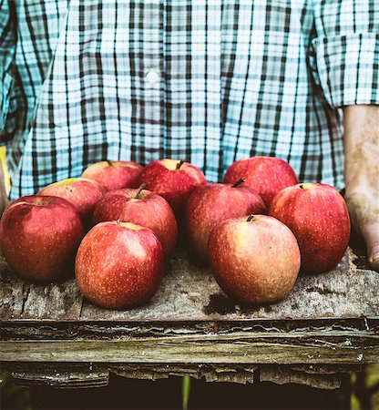 simsearch:400-08552542,k - Organic fruit. Farmers hands with freshly harvested fruit. Fresh organic apples. Stock Photo - Budget Royalty-Free & Subscription, Code: 400-08862266