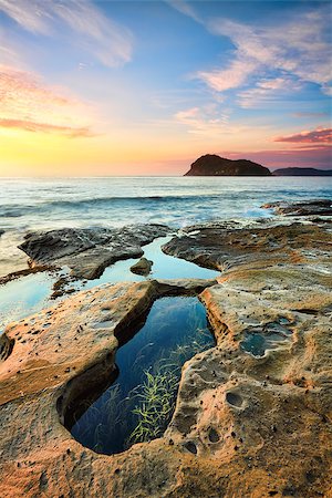 simsearch:400-07667033,k - One of the many rockpools at Pearl Beach, Australia taken at sunrise. Stock Photo - Budget Royalty-Free & Subscription, Code: 400-08863026