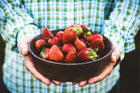 simsearch:400-08552542,k - Fresh fruit. Farmer with bowl of strawberries. Fruit basket. Stock Photo - Budget Royalty-Free & Subscription, Code: 400-08863164