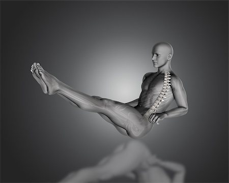 3D render of a medical figure in sit up position with partial skeleton Stock Photo - Budget Royalty-Free & Subscription, Code: 400-08863683