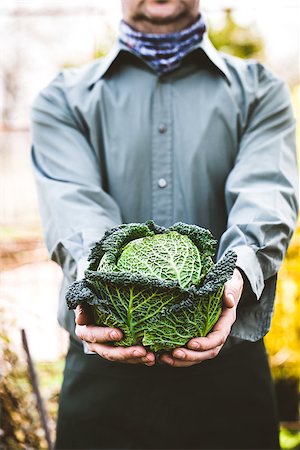 simsearch:400-08552542,k - Organic vegetables. Farmers hands with freshly harvested vegetables. Fresh organic kale. Stock Photo - Budget Royalty-Free & Subscription, Code: 400-08863692