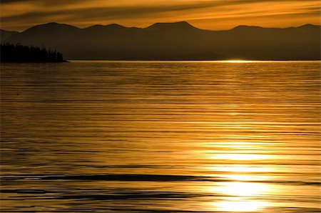 simsearch:400-04718715,k - Beautiful gold and orange sunset above the sea Stockbilder - Microstock & Abonnement, Bildnummer: 400-08863840