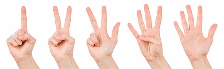 Hand gestures counting from 1 to 5. Counting hands on the finger of one to five isolated on white background Stock Photo - Budget Royalty-Free & Subscription, Code: 400-08887926