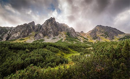 simsearch:400-09275240,k - Mountain Landscape with Dramatic Glowing Sky and Trees in Foreground. Mlynicka Valley, High Tatra, Slovakia. Photographie de stock - Aubaine LD & Abonnement, Code: 400-08888171