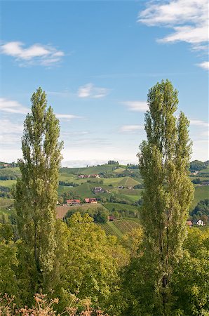 peterbaier (artist) - sunny morning in styria a rainy night in summer Foto de stock - Royalty-Free Super Valor e Assinatura, Número: 400-08888253