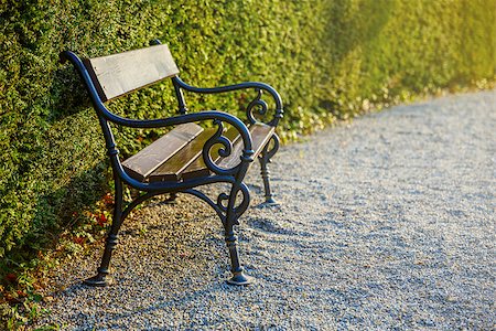 cast-iron bench in park Stock Photo - Budget Royalty-Free & Subscription, Code: 400-08888373