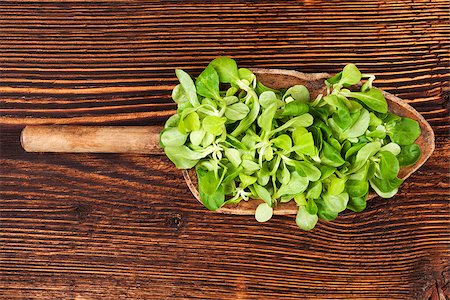 Fresh green field salad on wooden spoon on old wooden vintage background. Fresh salad, rustic vintage country style image. Stock Photo - Budget Royalty-Free & Subscription, Code: 400-08888713