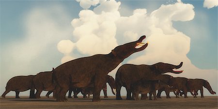 A Platybelodon herd gather on the plains of Africa to migrate to a better grazing area in the Miocene Era. Stock Photo - Budget Royalty-Free & Subscription, Code: 400-08888794