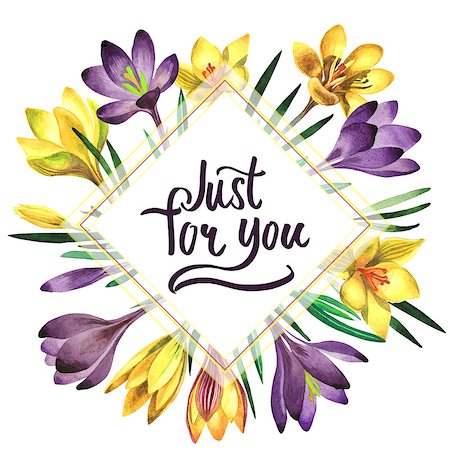 simsearch:622-02354988,k - Wildflower rose crocuses frame in a watercolor style isolated. Full name of the plant: crocuses,saffron. Aquarelle wild flower for background, texture, wrapper pattern, frame or border. Stock Photo - Budget Royalty-Free & Subscription, Code: 400-08888996