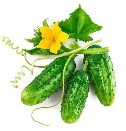 simsearch:400-08377901,k - Fresh green cucumber with leaf and flower natural vegetables organic food isolated on white background Stock Photo - Budget Royalty-Free & Subscription, Code: 400-08889771