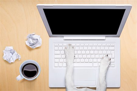 simsearch:400-08413217,k - jack russell dog office worker ,  black glasses typing in a  pc computer laptop,  isolated on desk  background, coffee mug on table Stock Photo - Budget Royalty-Free & Subscription, Code: 400-08898656