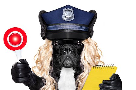 policewoman dog ON DUTY WITH ticket fine and stop sign isolated on white blank background wearing a blonde funny wig Photographie de stock - Aubaine LD & Abonnement, Code: 400-08898676