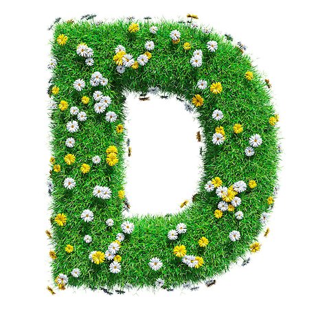 simsearch:400-06062404,k - Letter D Of Green Grass And Flowers. Isolated On White Background. Font For Your Design. 3D Illustration Foto de stock - Super Valor sin royalties y Suscripción, Código: 400-08898724