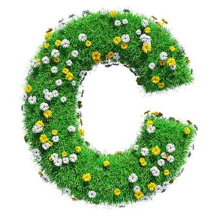 simsearch:400-06062404,k - Letter C Of Green Grass And Flowers. Isolated On White Background. Font For Your Design. 3D Illustration Foto de stock - Super Valor sin royalties y Suscripción, Código: 400-08898722