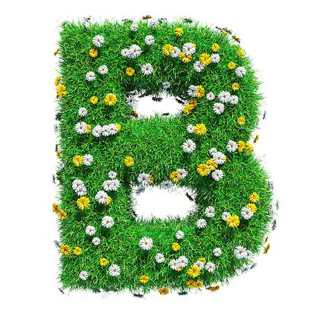 simsearch:400-06062404,k - Letter B Of Green Grass And Flowers. Isolated On White Background. Font For Your Design. 3D Illustration Foto de stock - Super Valor sin royalties y Suscripción, Código: 400-08898723