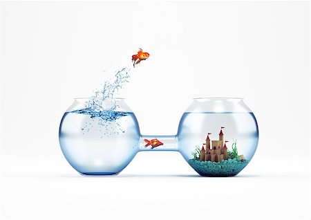 simsearch:400-09112433,k - Goldfish leaping in an aquarium with a castle instead another fish pass from the tube. way to improvement and progress concept. 3D Rendering Stockbilder - Microstock & Abonnement, Bildnummer: 400-08899013