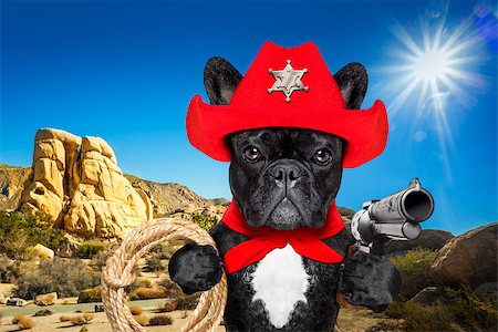 rodeo usa - western cowboy sheriff   french bulldog dog with rope , red scarf and pistol outside in the desert, wearing red american hat Stock Photo - Budget Royalty-Free & Subscription, Code: 400-08899258