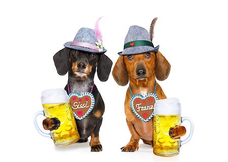 simsearch:659-01860653,k - bavarian dachshund or sausage  dogs couple with  gingerbread and  mug  isolated on white background , ready for the beer celebration festival in munich, Foto de stock - Super Valor sin royalties y Suscripción, Código: 400-08899464