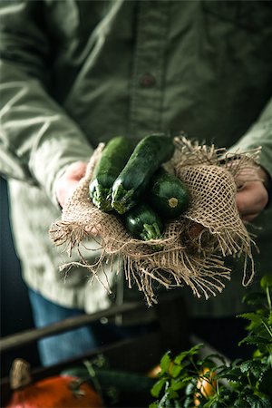 simsearch:400-08552542,k - Organic vegetables on wood. Farmer holding harvested vegetables. Rustic setting Stock Photo - Budget Royalty-Free & Subscription, Code: 400-08899957