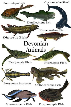 devonian - A collection of various aquatic animals that lived during the Devonian Period of Earth's history. Stock Photo - Budget Royalty-Free & Subscription, Code: 400-08890051