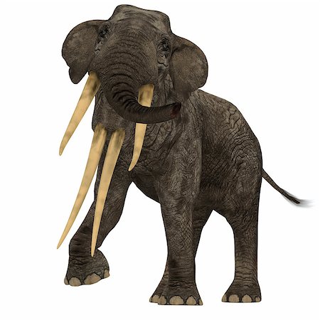 elephantidae - Stegotetrabelodon was an elephant that lived in the Miocene and Pliocene Periods of Africa and Eurasia. Stock Photo - Budget Royalty-Free & Subscription, Code: 400-08890064