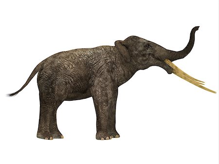 Stegotetrabelodon was an elephant that lived in the Miocene and Pliocene Periods of Africa and Eurasia. Stock Photo - Budget Royalty-Free & Subscription, Code: 400-08890065