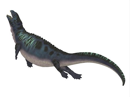 simsearch:400-04697365,k - Placodus was a marine reptile that swam in the shallow seas of the Triassic Period in Europe and China. Foto de stock - Super Valor sin royalties y Suscripción, Código: 400-08890060