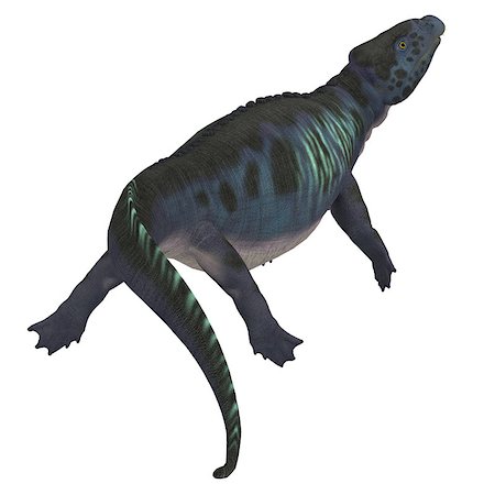 simsearch:400-04697365,k - Placodus was a marine reptile that swam in the shallow seas of the Triassic Period in Europe and China. Foto de stock - Super Valor sin royalties y Suscripción, Código: 400-08890061