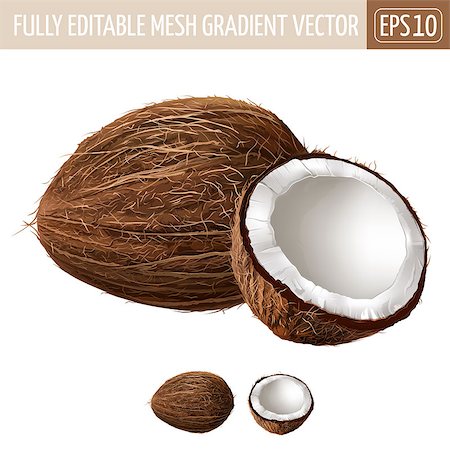 Coconut realistic isolated illustration on white background. Foto de stock - Royalty-Free Super Valor e Assinatura, Número: 400-08890097