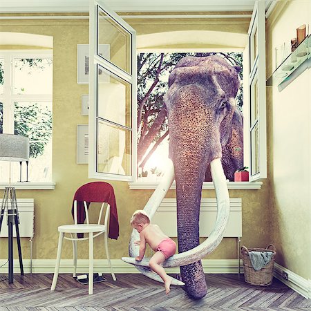 The elephant in the room window and baby, Photo combination concept Stock Photo - Budget Royalty-Free & Subscription, Code: 400-08890565